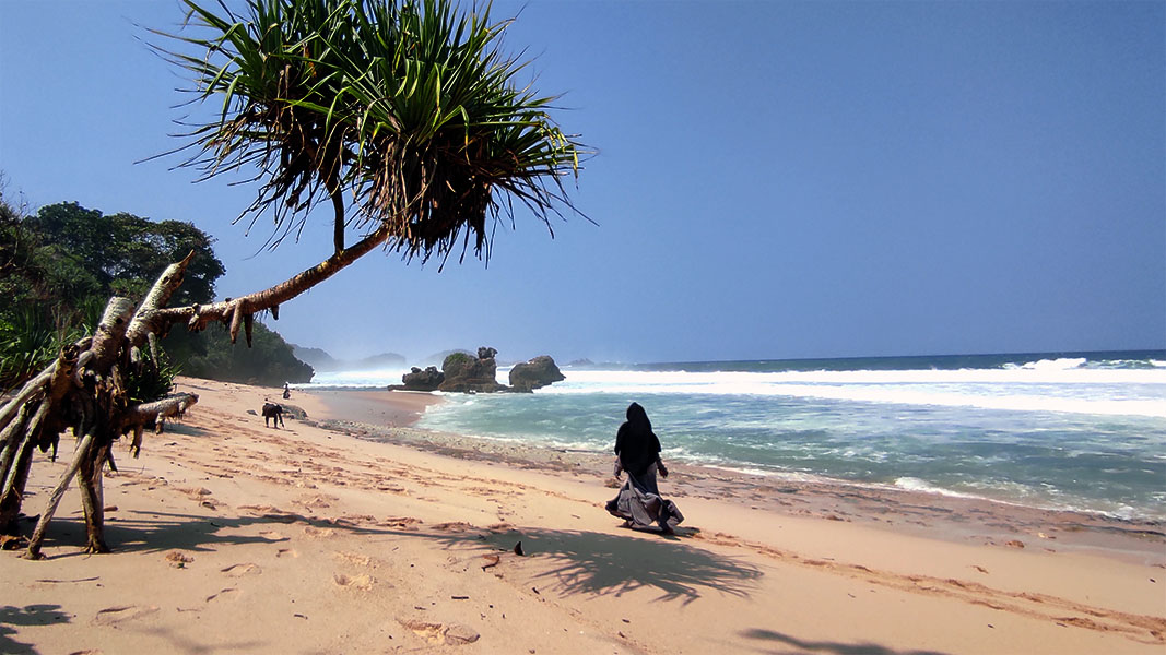 Pantai Selok, Pantai Elok Yang Wajib Dikunjungi